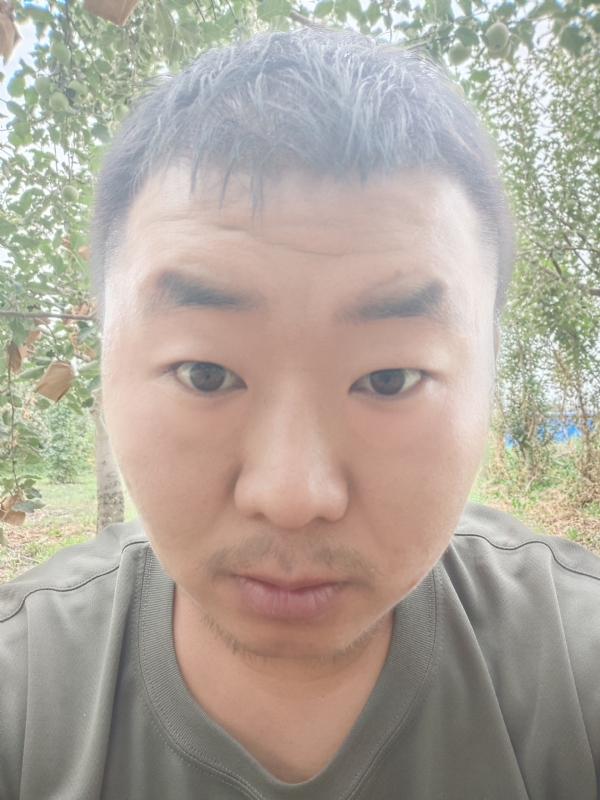 明天的第一张照片--宁化相亲网