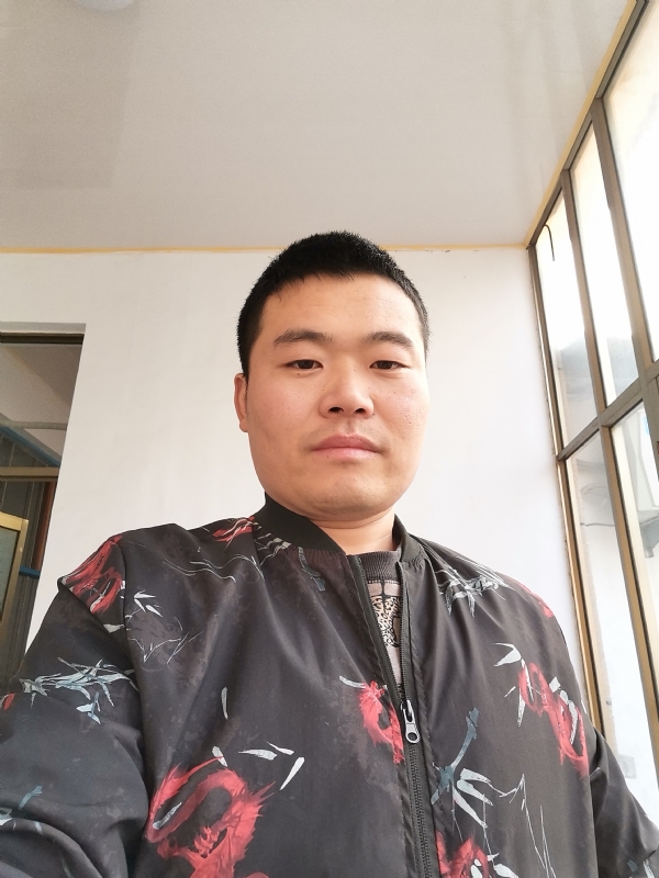 会飞的猪的第一张照片--宁化相亲网