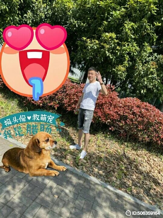 我若不坚强谁替我勇敢的第一张照片--宁化相亲网