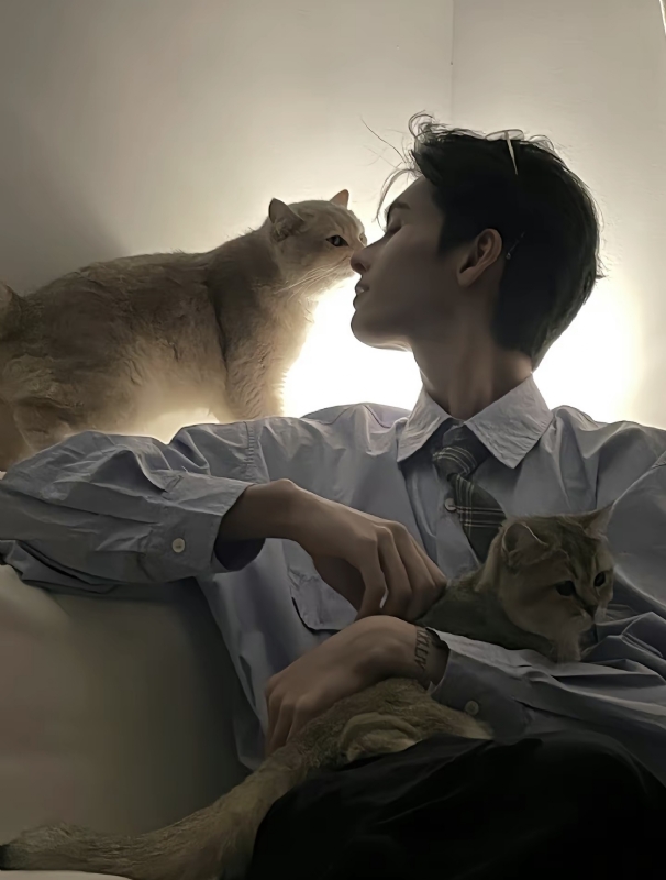 怪猫的第一张照片--宁化相亲网